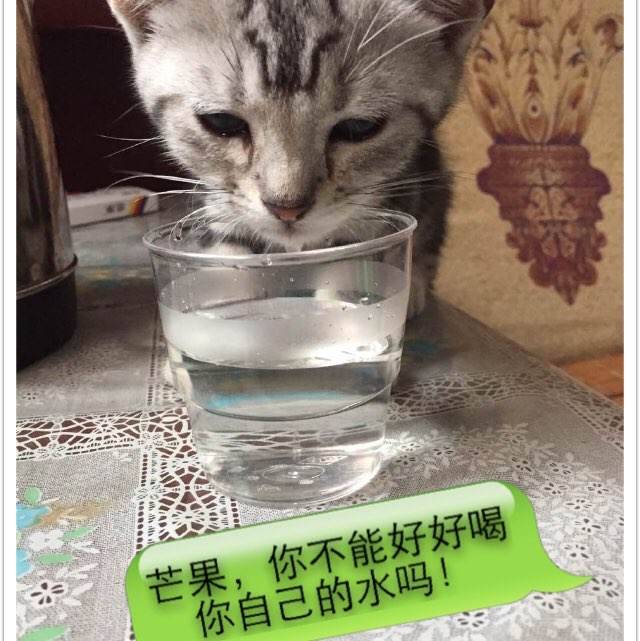 日本京都产业大学ID学生卡